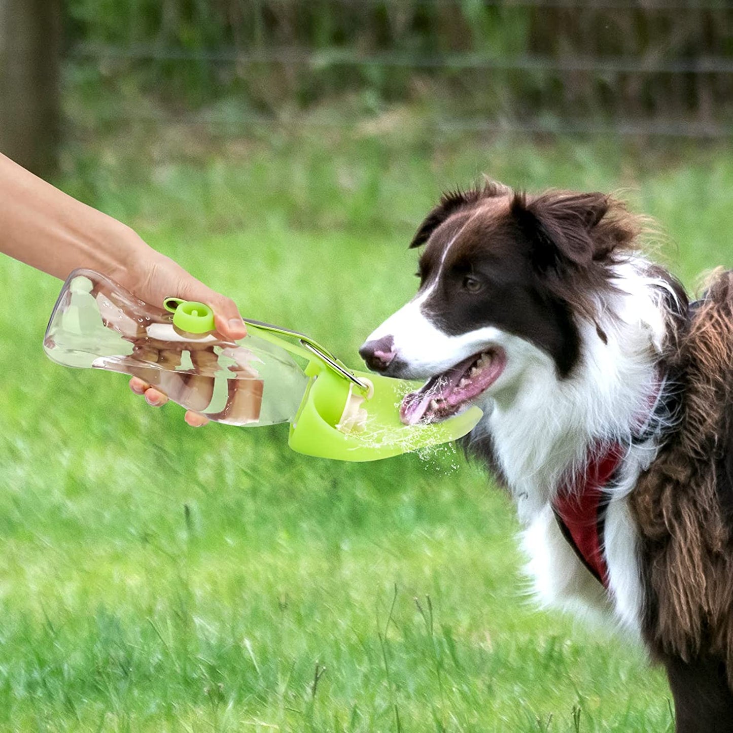 FurMates Co HydroFlip dog water dispenser being used to give fresh water to a dog outdoors on grass