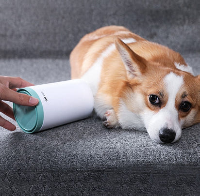 FurMates Co PawFlow Rapid Paw Cleaner being used on a corgi dog for gentle muddy paw cleaning indoors